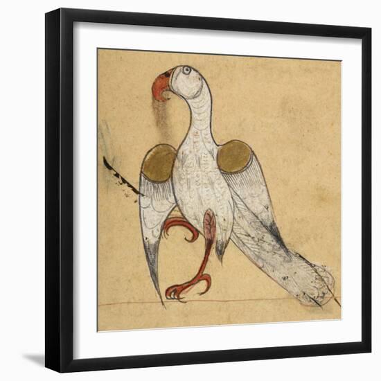 Egyptian Vulture-Aristotle ibn Bakhtishu-Framed Giclee Print