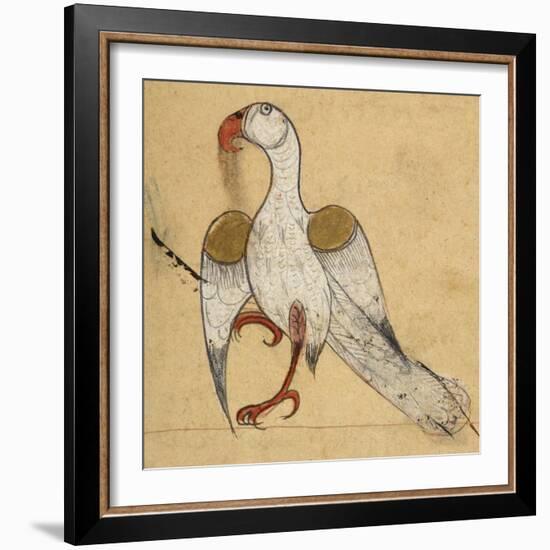 Egyptian Vulture-Aristotle ibn Bakhtishu-Framed Giclee Print