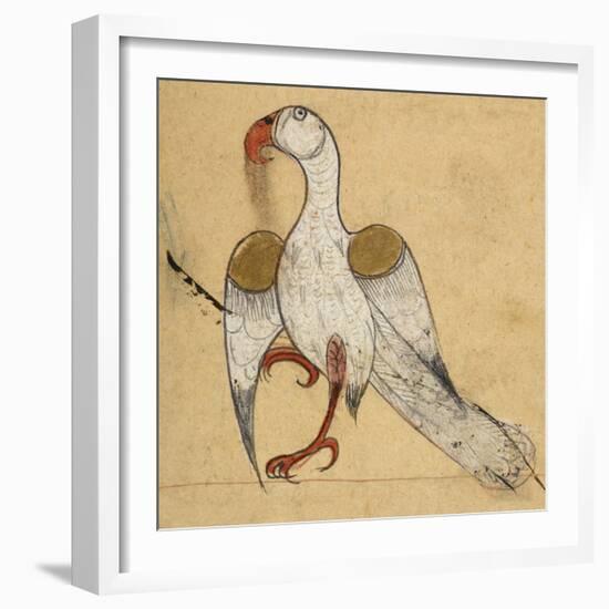 Egyptian Vulture-Aristotle ibn Bakhtishu-Framed Giclee Print