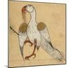 Egyptian Vulture-Aristotle ibn Bakhtishu-Mounted Giclee Print