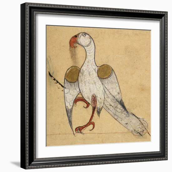 Egyptian Vulture-Aristotle ibn Bakhtishu-Framed Giclee Print