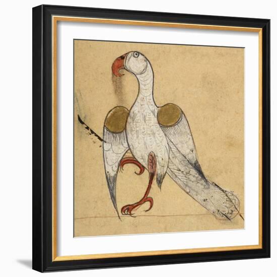 Egyptian Vulture-Aristotle ibn Bakhtishu-Framed Giclee Print