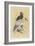 Egyptian Vulture-Reverend Francis O. Morris-Framed Art Print