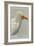 Egyptian Vulture-Louis Agassiz Fuertes-Framed Premium Giclee Print