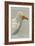 Egyptian Vulture-Louis Agassiz Fuertes-Framed Art Print