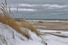 The Long Walk Home-ehrlif-Premier Image Canvas