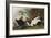 Eider Duck, 1835-John James Audubon-Framed Giclee Print