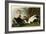 Eider Duck-John James Audubon-Framed Giclee Print