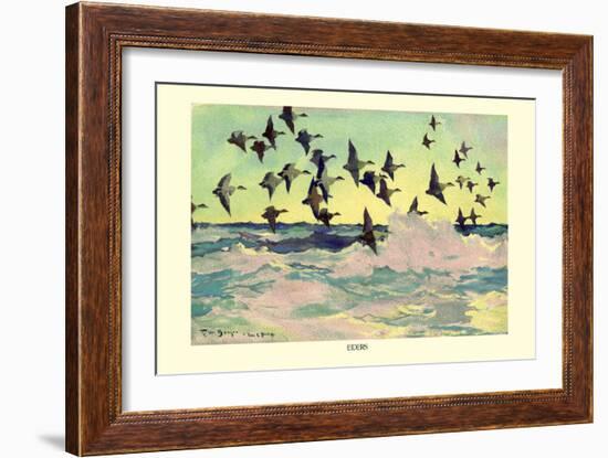 Eiders-Frank Weston Benson-Framed Art Print