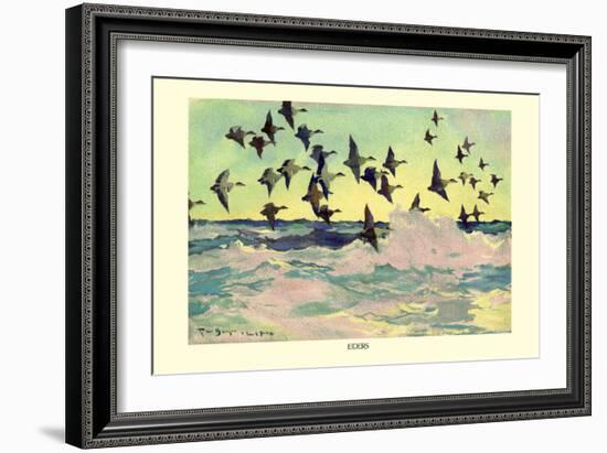 Eiders-Frank Weston Benson-Framed Art Print