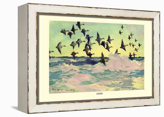 Eiders-Frank Weston Benson-Framed Stretched Canvas