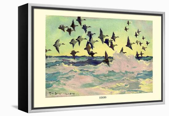 Eiders-Frank Weston Benson-Framed Stretched Canvas