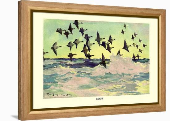 Eiders-Frank Weston Benson-Framed Stretched Canvas