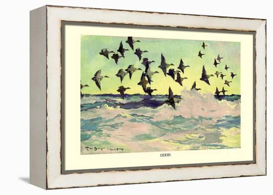 Eiders-Frank Weston Benson-Framed Stretched Canvas