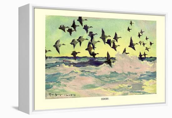 Eiders-Frank Weston Benson-Framed Stretched Canvas