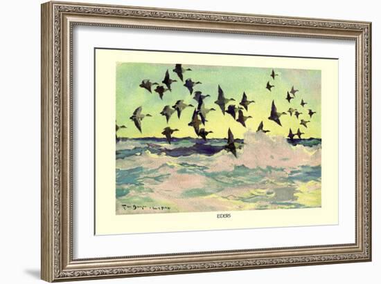 Eiders-Frank Weston Benson-Framed Art Print