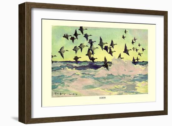 Eiders-Frank Weston Benson-Framed Art Print