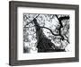 Eiffel III-Tom Artin-Framed Art Print