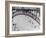 Eiffel Shadows-Chris Bliss-Framed Photographic Print