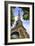 Eiffel Tower 2-Chris Bliss-Framed Photographic Print