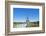 Eiffel Tower and the Trocadero Fountains, Paris, France, Europe-Neale Clark-Framed Photographic Print