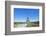 Eiffel Tower and the Trocadero Fountains, Paris, France, Europe-Neale Clark-Framed Photographic Print