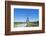 Eiffel Tower and the Trocadero Fountains, Paris, France, Europe-Neale Clark-Framed Photographic Print