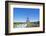 Eiffel Tower and the Trocadero Fountains, Paris, France, Europe-Neale Clark-Framed Photographic Print