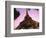 Eiffel Tower at Dusk, Paris, France, Europe-null-Framed Photographic Print