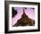 Eiffel Tower at Dusk, Paris, France, Europe-null-Framed Photographic Print