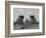 Eiffel Tower During Construction-null-Framed Photographic Print