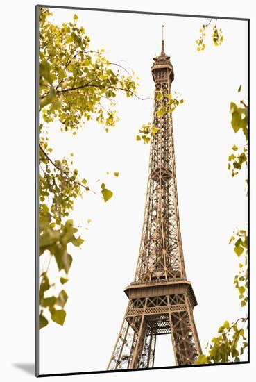 Eiffel Tower II-Karyn Millet-Mounted Photographic Print