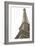 Eiffel Tower IV-Karyn Millet-Framed Photographic Print