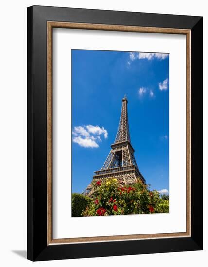 Eiffel Tower named after Gustave Eiffel, Paris, France.-Michael DeFreitas-Framed Photographic Print