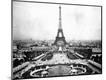 Photographic Print