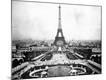 Photographic Print