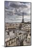 Eiffel Tower, Paris, France, Europe-Giles Bracher-Mounted Photographic Print