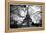 Eiffel Tower - Paris - France - Europe-Philippe Hugonnard-Framed Premier Image Canvas