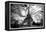 Eiffel Tower - Paris - France - Europe-Philippe Hugonnard-Framed Premier Image Canvas