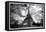 Eiffel Tower - Paris - France - Europe-Philippe Hugonnard-Framed Premier Image Canvas