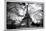 Eiffel Tower - Paris - France - Europe-Philippe Hugonnard-Mounted Photographic Print