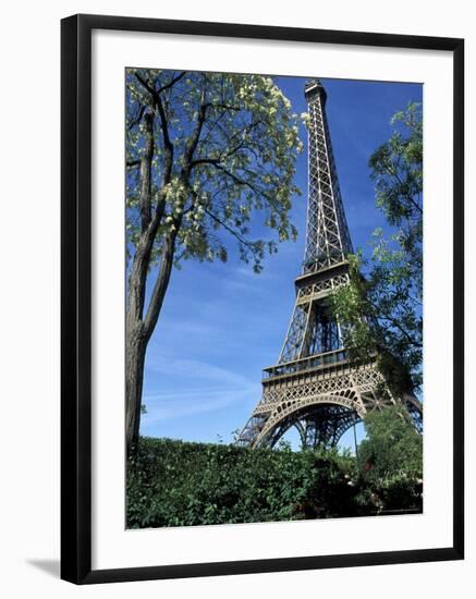 Eiffel Tower, Paris, France-Guy Thouvenin-Framed Photographic Print