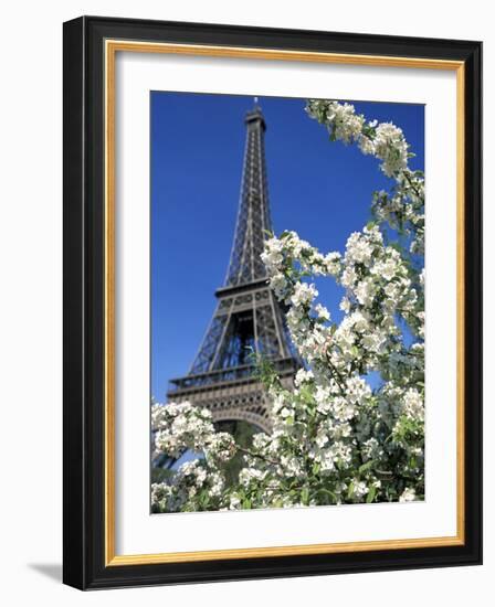 Eiffel Tower, Paris, France-Guy Thouvenin-Framed Photographic Print