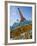 Eiffel Tower, Paris, France-Walter Bibikow-Framed Photographic Print