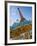 Eiffel Tower, Paris, France-Walter Bibikow-Framed Photographic Print