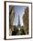 Eiffel Tower, Paris, France-Neil Farrin-Framed Photographic Print