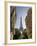 Eiffel Tower, Paris, France-Neil Farrin-Framed Photographic Print