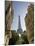 Eiffel Tower, Paris, France-Neil Farrin-Mounted Photographic Print