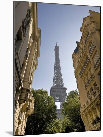 Eiffel Tower, Paris, France-Neil Farrin-Mounted Photographic Print
