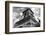 Eiffel Tower - Paris - France-Philippe Hugonnard-Framed Photographic Print